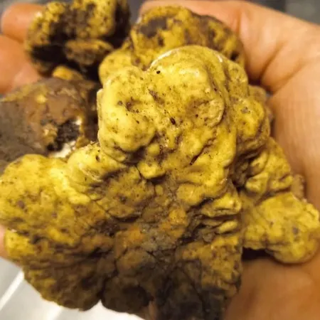 Il Melograno Ristorante E Bed & Breakfast 4*