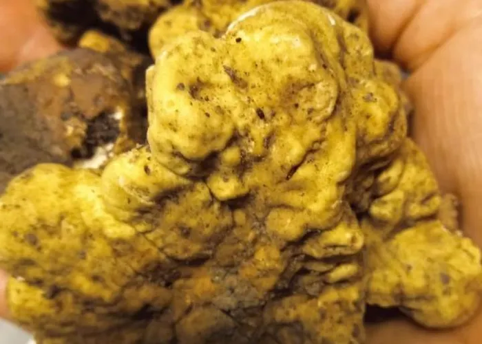 Il Melograno Ristorante E Bed & Breakfast 4*