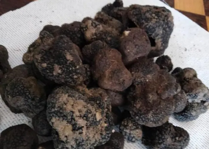 Il Melograno Ristorante E Bed & Breakfast Benevento